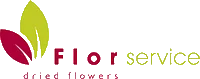 Florservice